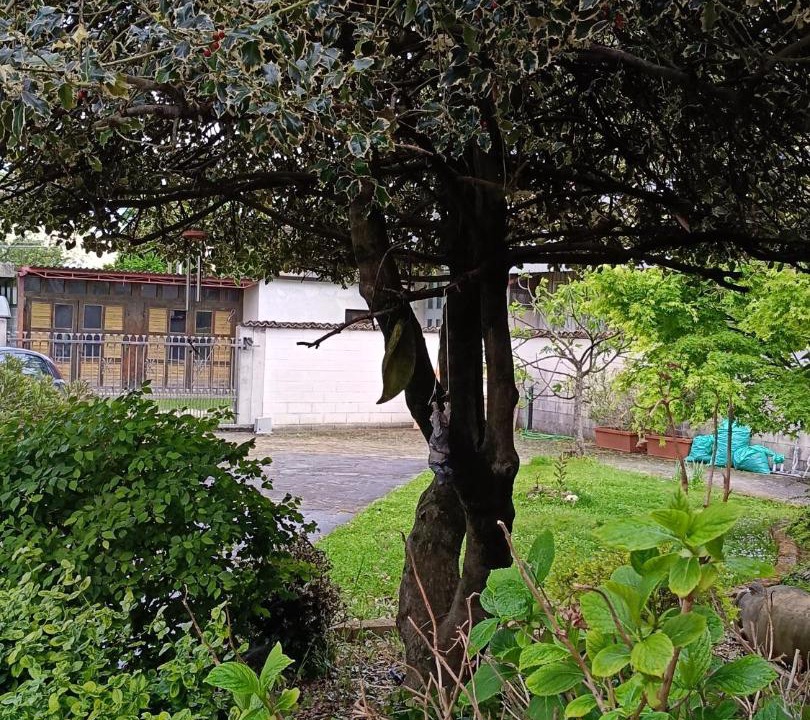 Photo of Outdoor in Basiliano