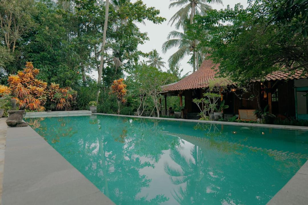 Photo of Others in Mendut