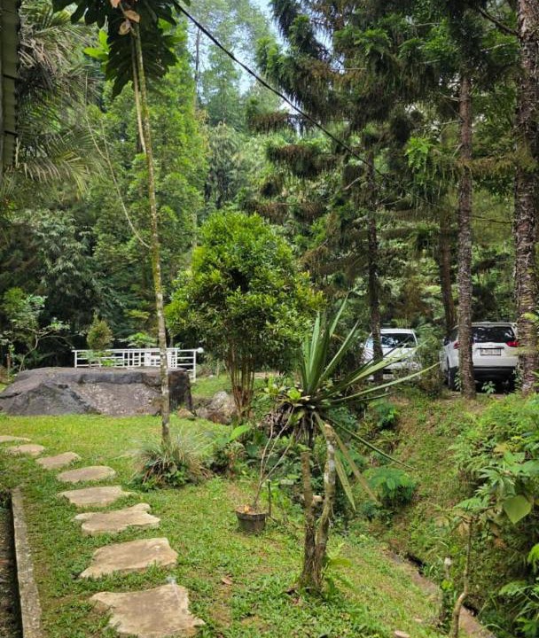 Photo of Others in Pancawati