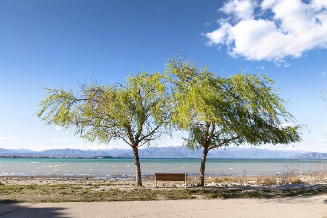 Photo of Others in Peschiera del Garda