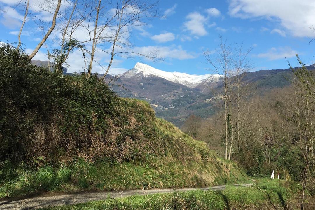 Photo of Outdoor in Nocchi