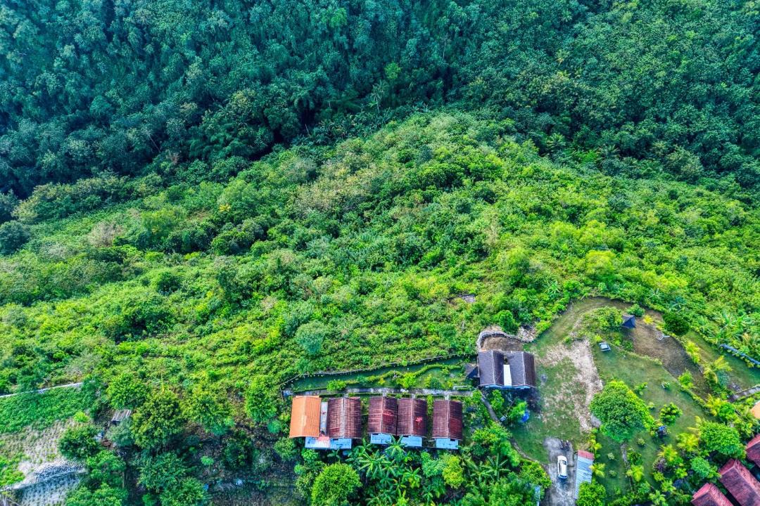 Photo of Others in Penida Island