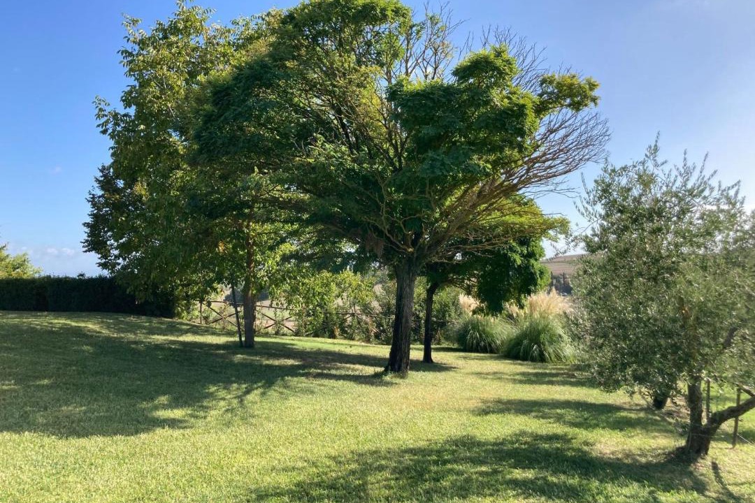 Photo of Others in Sovicille