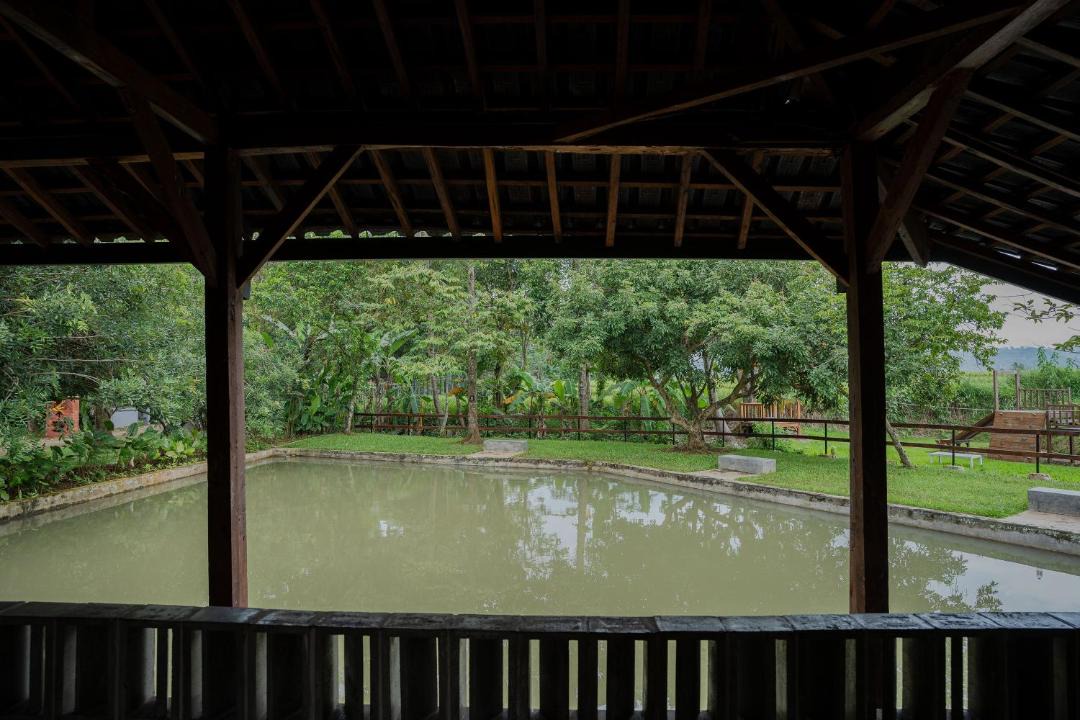 Photo of Others in Cibodas