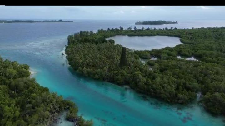 Photo of Others in Pianemo Islands