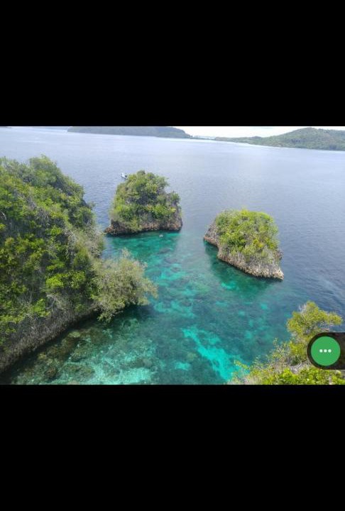 Photo of Others in Pianemo Islands