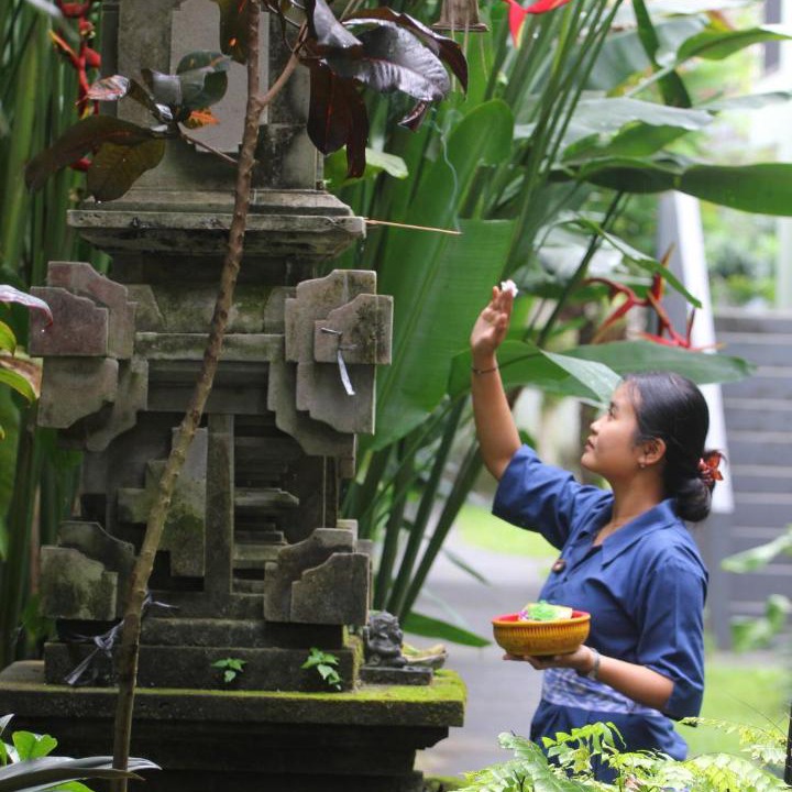 Photo of Others in Ubud City-Centre