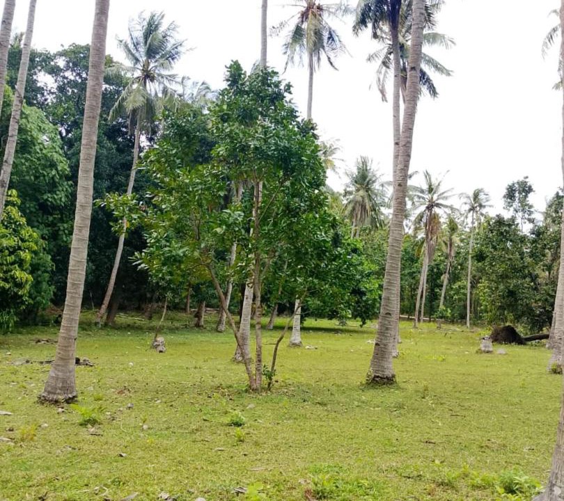 Photo of Others in Karimunjawa Islands