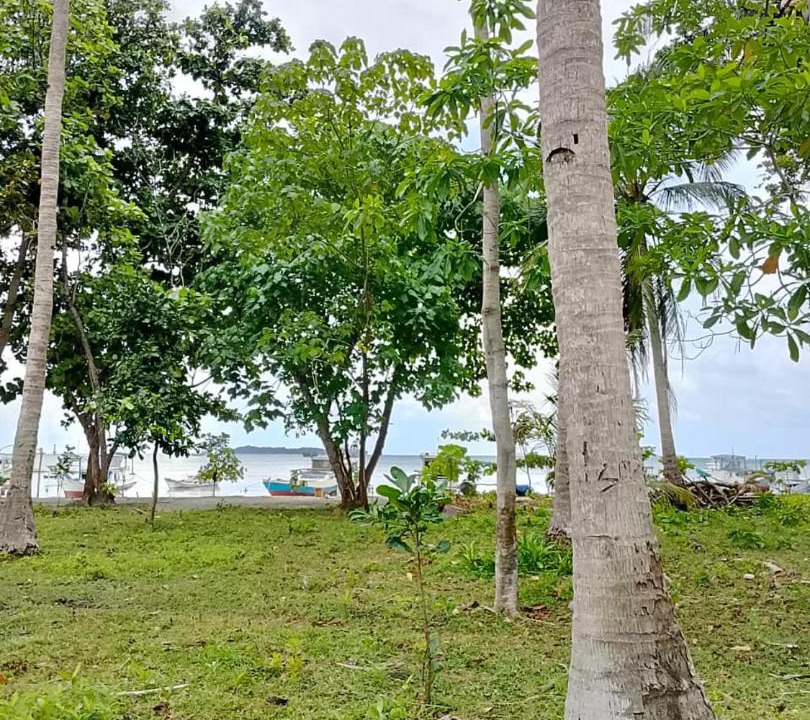 Photo of Others in Karimunjawa Islands