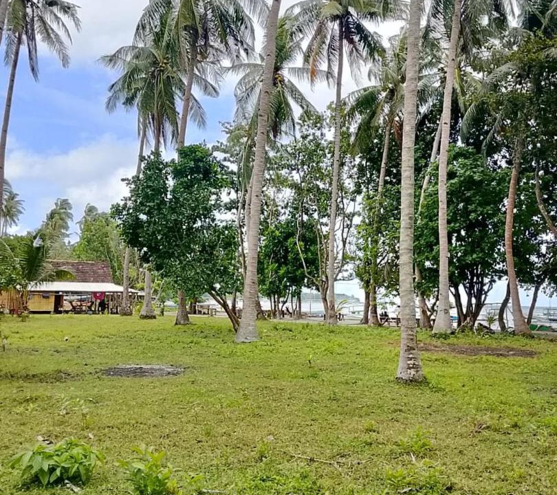Photo of Others in Karimunjawa Islands