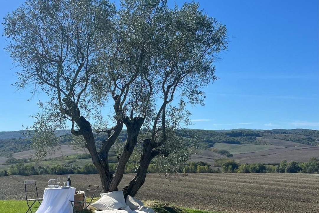 Photo of Others in Monteroni d'Arbia