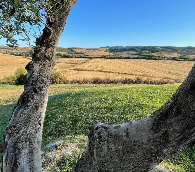 Photo of Others in Monteroni d'Arbia