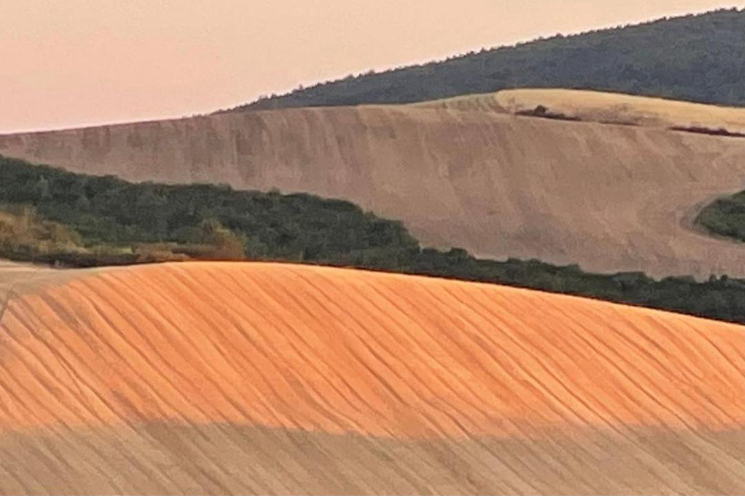 Photo of Others in Monteroni d'Arbia