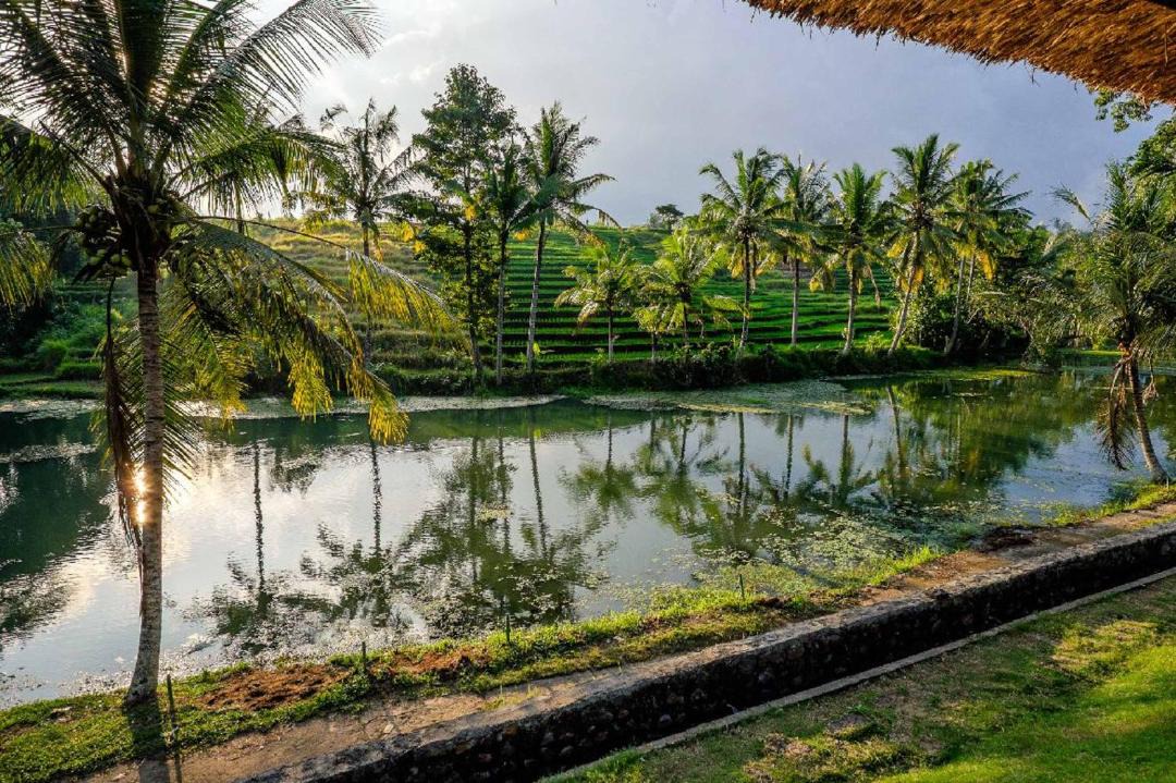 Photo of Outdoor in Tabanan