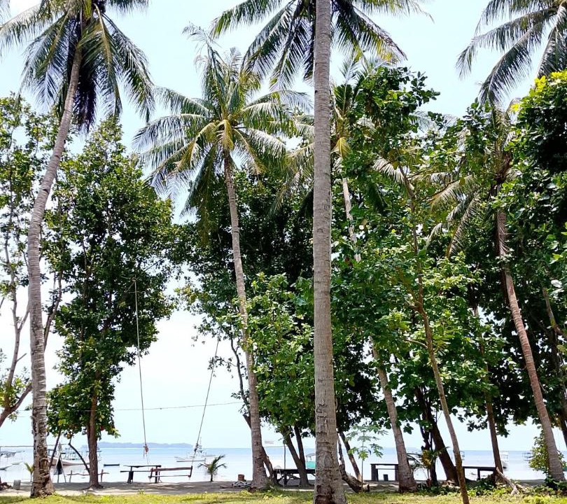 Photo of Others in Karimunjawa Islands