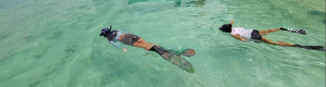 Photo of Human In Picture in Manokwari