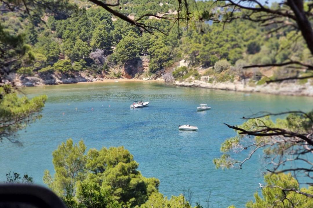 Photo of Others in Defensola