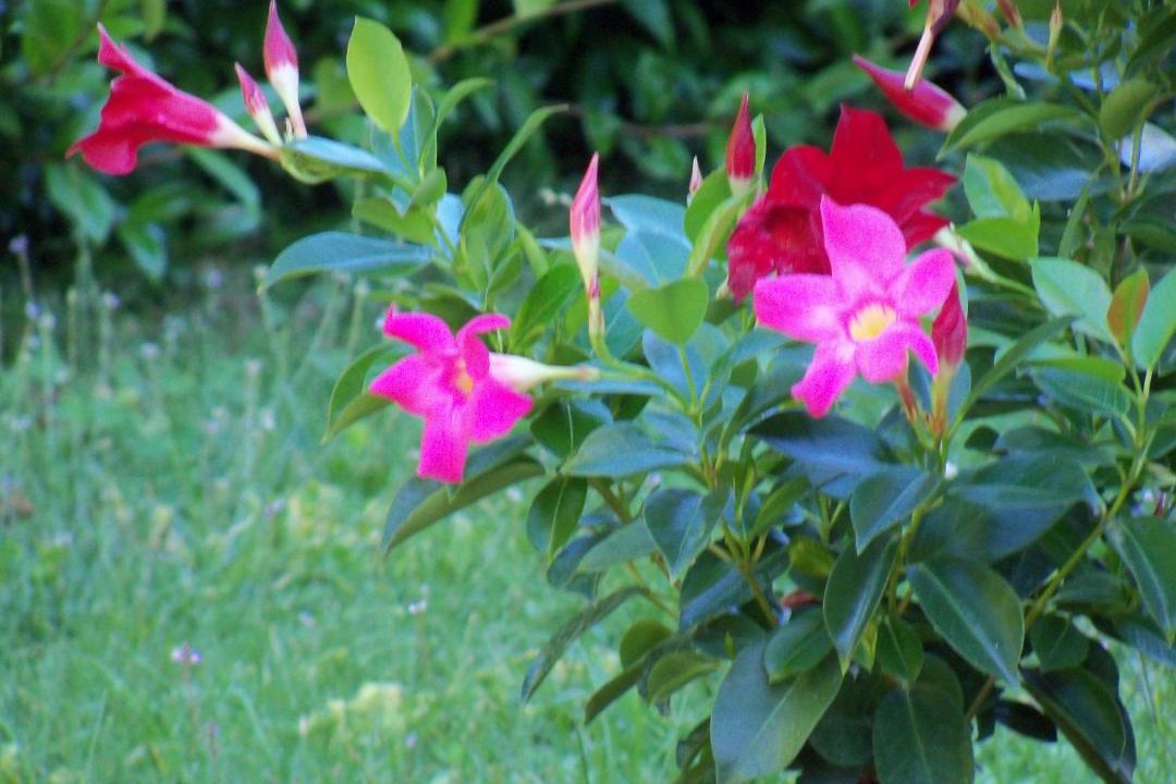 Photo of Outdoor in Pascoso
