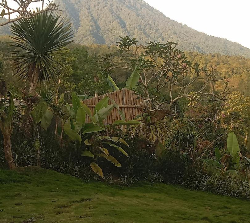 Photo of Others in Kintamani