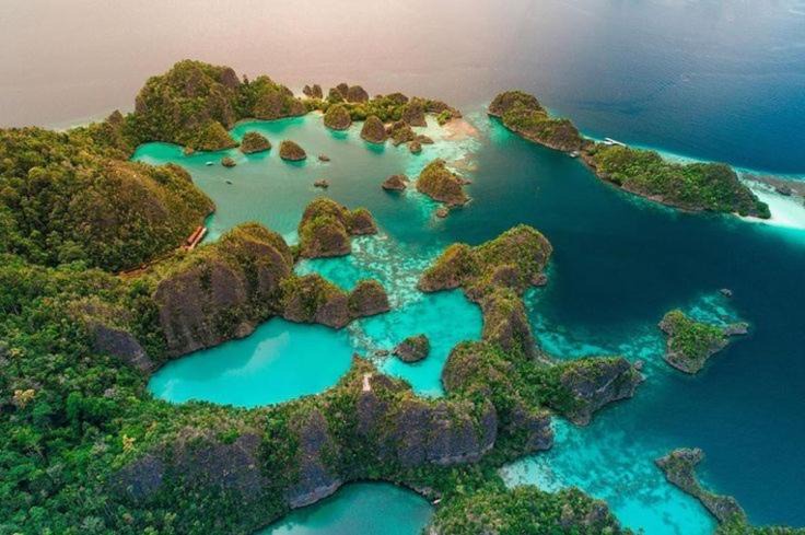Photo of Others in Raja Ampat