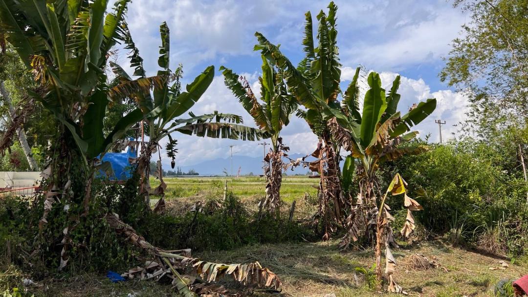 Photo of Others in Balige