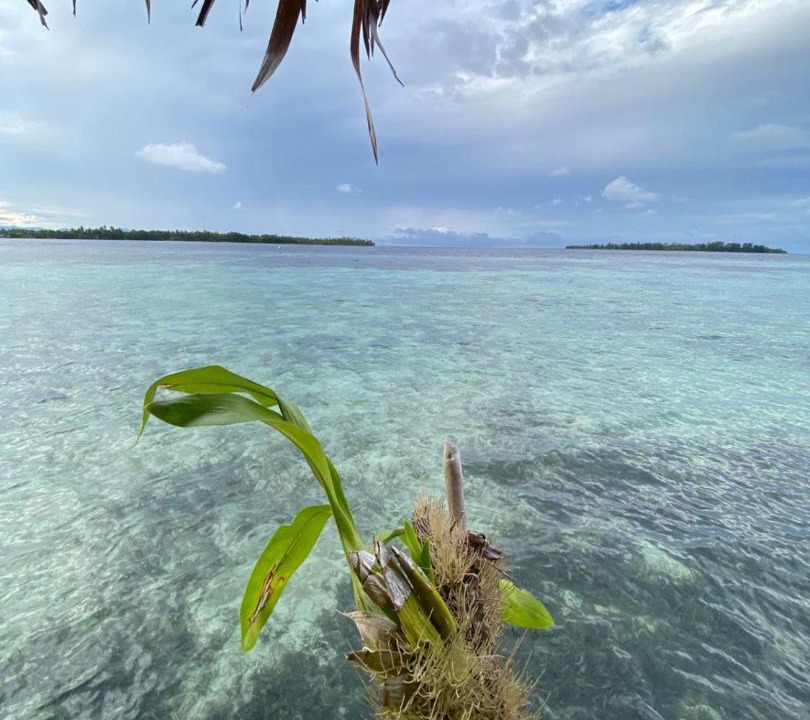 Photo of Others in Pulau Fam