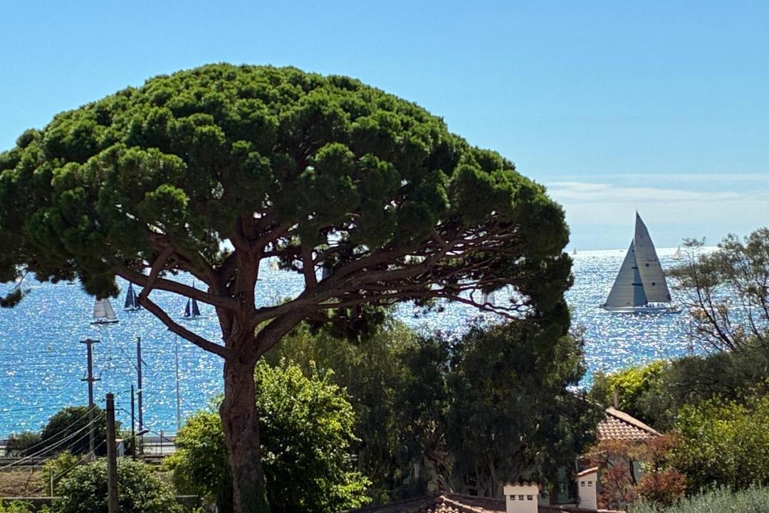 Photo of Others in Cannes La Bocca