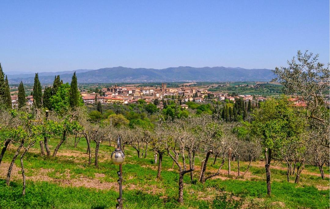 Photo of Others in Monte San Savino