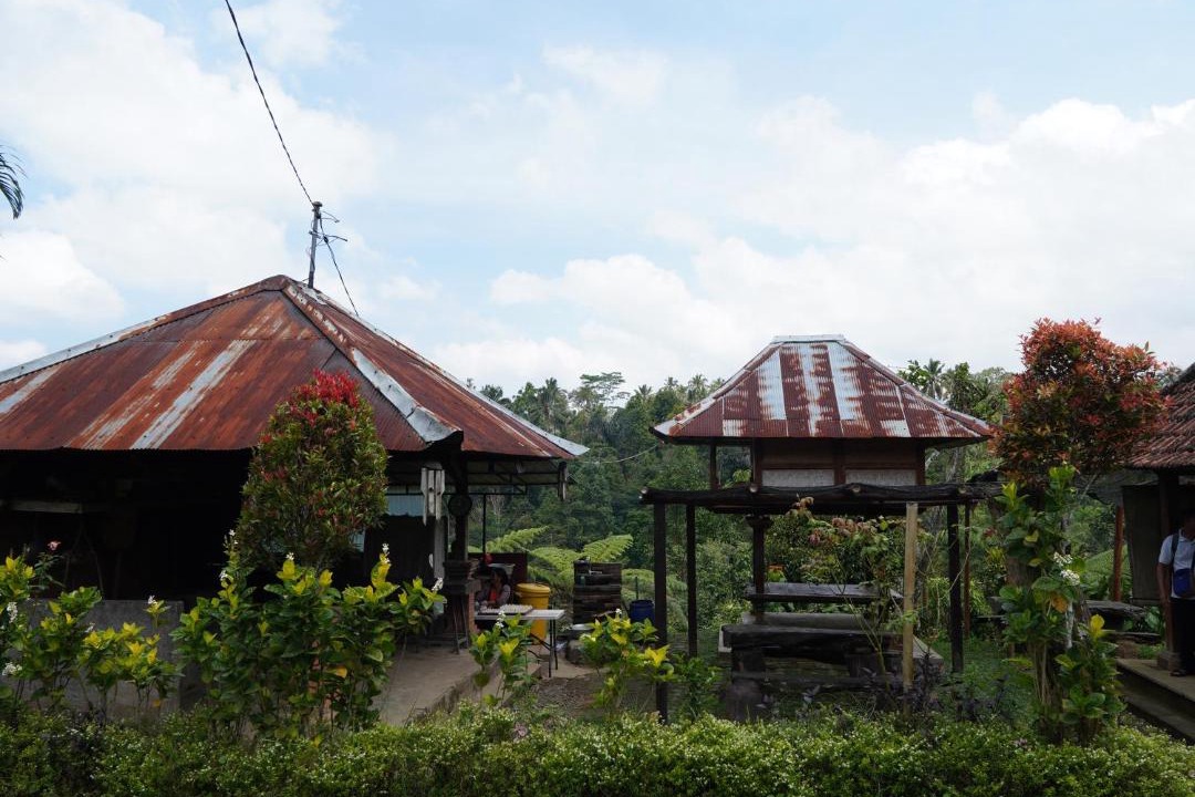 Photo of Others in Nungnung