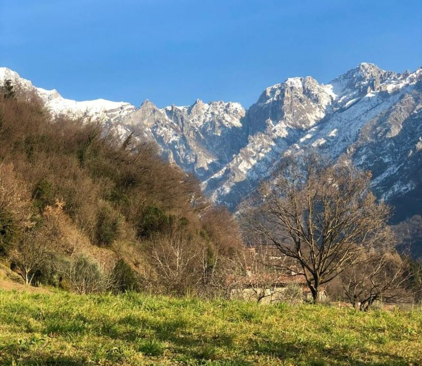 Photo of Others in Lecco