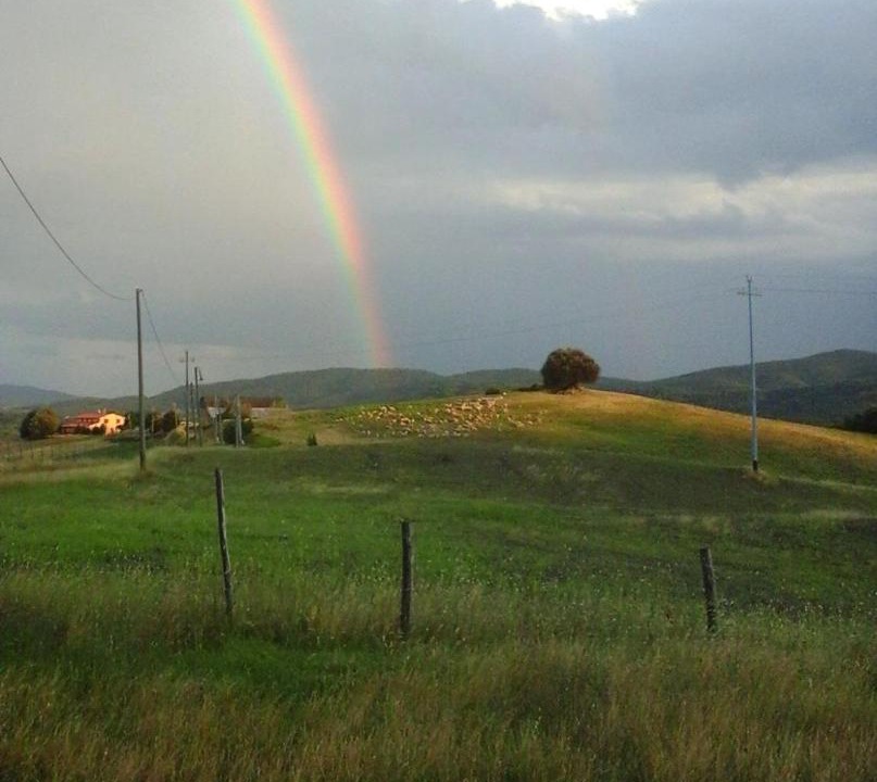 Photo of Others in Volterra