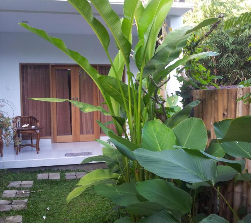 Photo of Others in Ubud City-Centre
