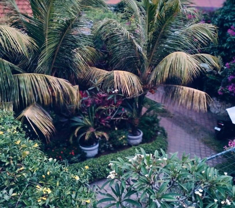 Photo of Others in Kutuh