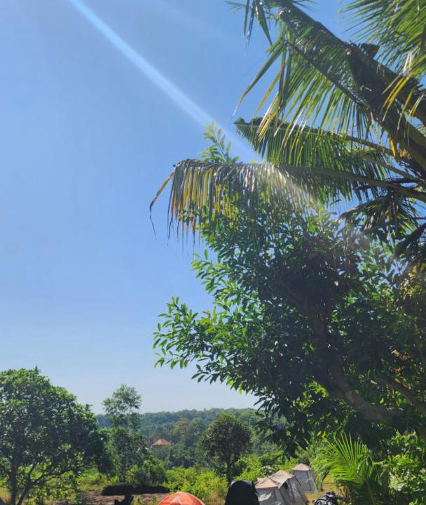Photo of Others in Penida Island