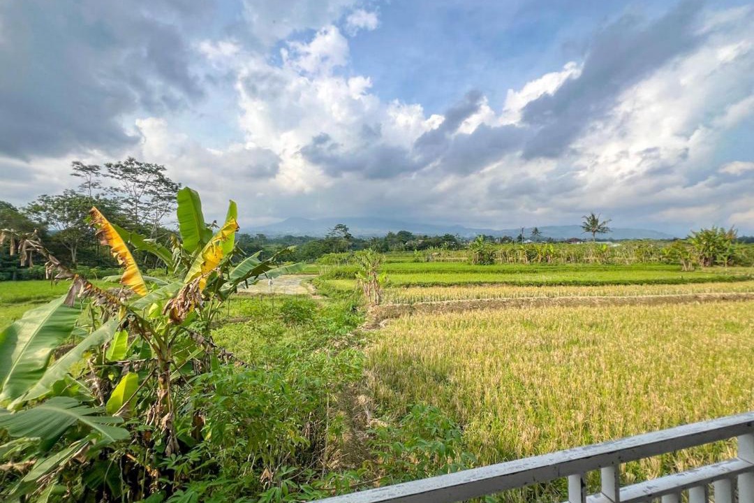 Photo of Others in Wonosobo