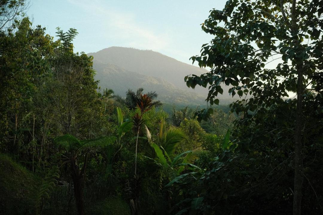 Photo of Others in Wongaya Gede