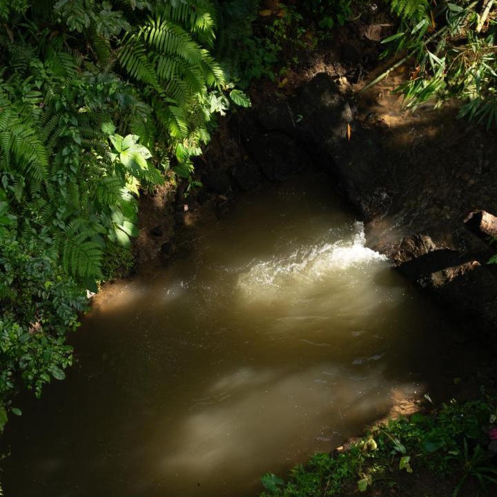 Photo of Others in Payangan