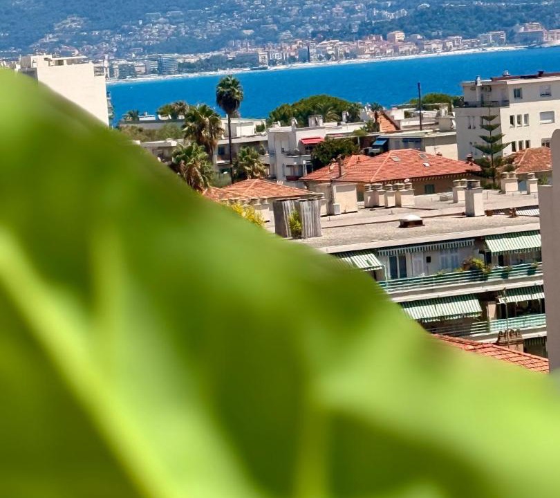 Photo of Others in La Californie