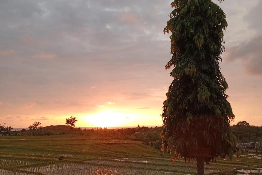 Photo of Others in Kelating