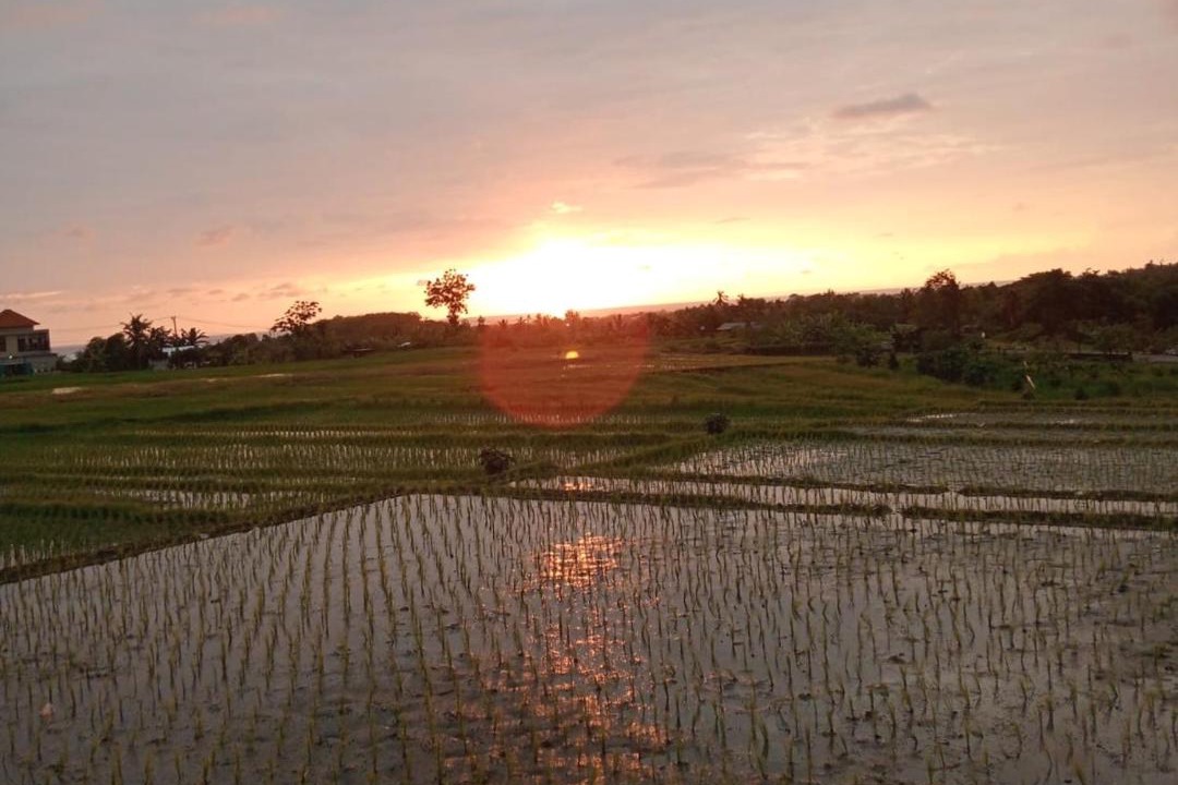 Photo of Others in Kelating