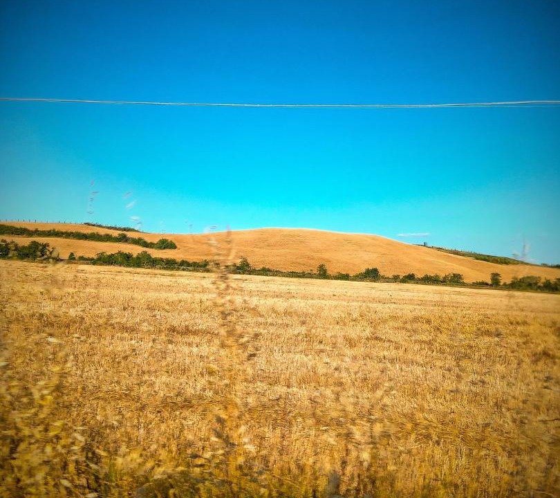 Photo of Others in Vescovado