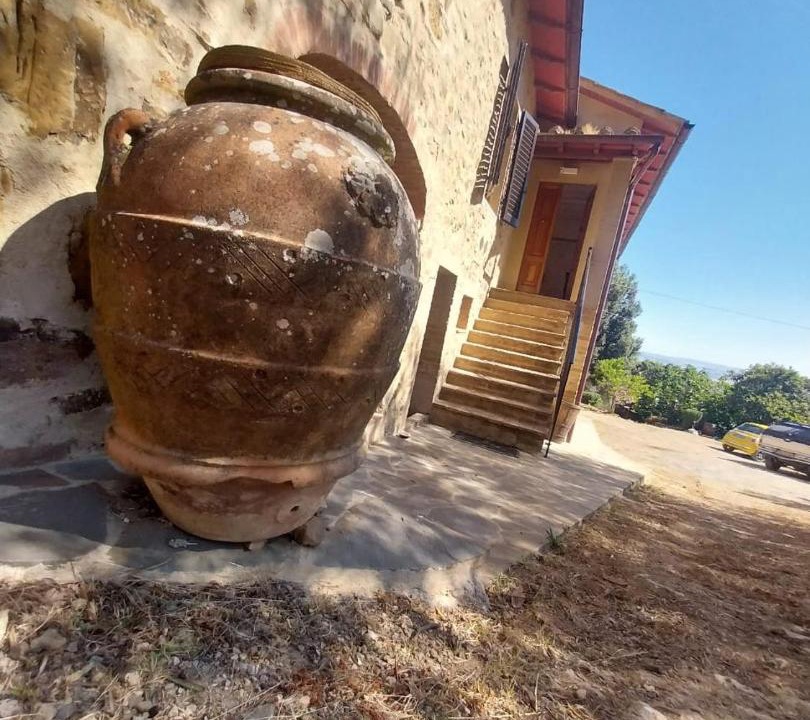 Photo of Others in Montalcino