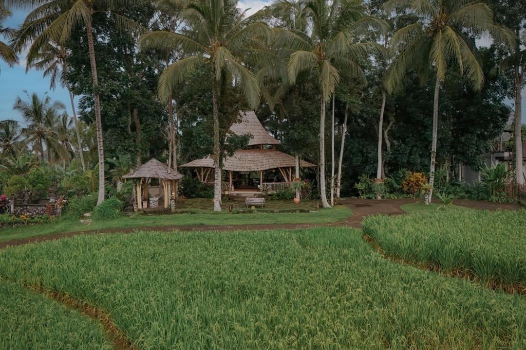 Photo of Others in East Selemadeg