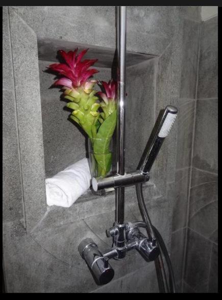 Photo of Bathroom in Kedewatan