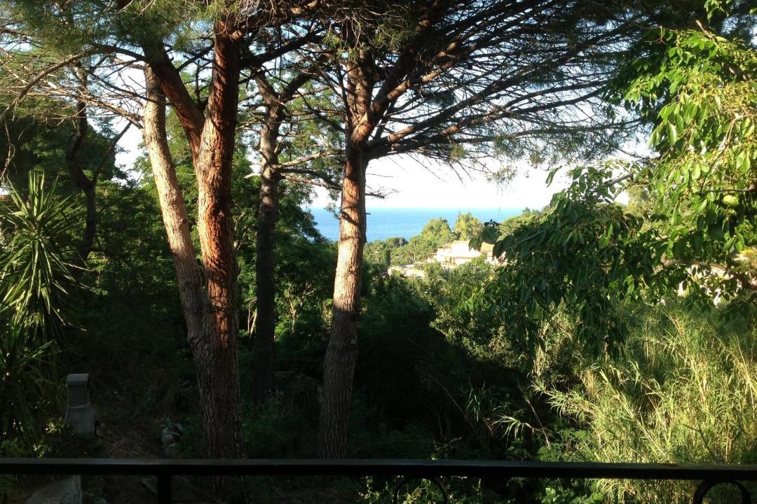 Photo of Others in Sant' Andrea