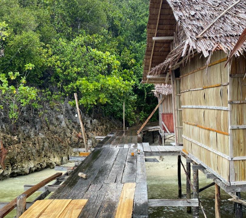 Photo of Others in Pianemo Islands
