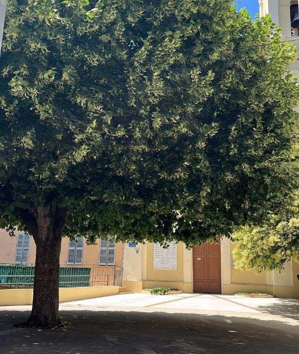 Photo of Outdoor in Contes