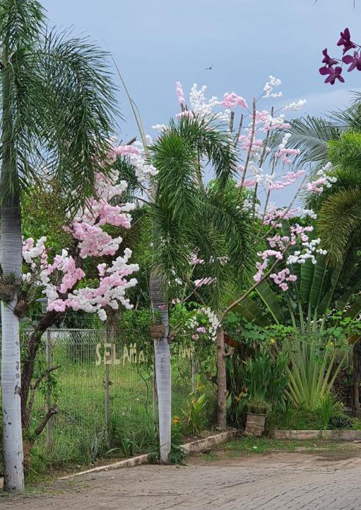 Photo of Others in Paiton