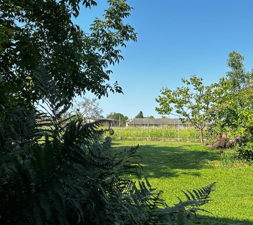 Photo of Others in Pasian di Prato