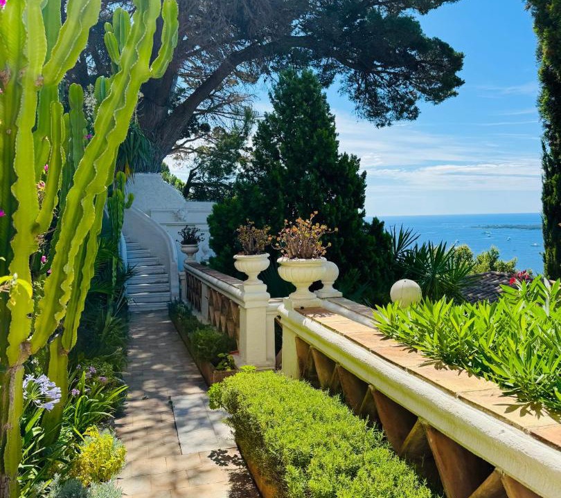 Photo of Others in California - Pezou